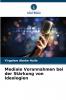 Mediale Vorannahmen bei der Stärkung von Ideologien