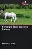 Foraggio come prateria indiana