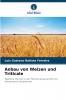Anbau von Weizen und Triticale