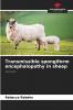 Transmissible spongiform encephalopathy in sheep