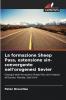 La formazione Sheep Pass estensione sin-convergente nell'orogenesi Sevier
