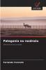 Patagonia na rozdrożu