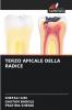 TERZO APICALE DELLA RADICE