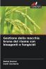 Gestione della macchia bruna del risone con bioagenti e fungicidi