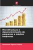 Microfinanças e desenvolvimento de pequenas e médias empresas