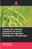 Gestão da mancha castanha do arroz através de agentes biológicos e fungicidas