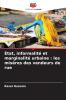 État informalité et marginalité urbaine