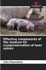 Effective components of the medium for cryopreservation of boar semen