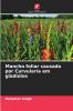 Mancha foliar causada por Curvularia em gladíolos