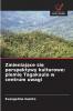 Zmieniające się perspektywy kulturowe