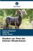 Studien zur Pest der kleinen Wiederkäuer