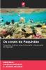 Os corais do Paquistão