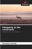 Patagonia at the crossroads