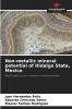Non-metallic mineral potential of Hidalgo State Mexico