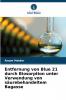 Entfernung von Blue 21 durch Biosorption unter Verwendung von säurebehandeltem Bagasse