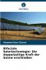 Bifaciale Solartechnologie
