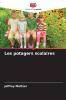 Les potagers scolaires