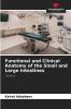 Functional and Clinical Anatomy of the Small and Large Intestines