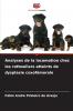 Analyses de la locomotion chez les rottweilers atteints de dysplasie coxofémorale