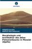 Morphologie und Architektur des Atlas-Pistazienbaums in Messâd (Djelfa)