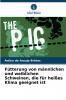 Fütterung von männlichen und weiblichen Schweinen die für heißes Klima geeignet ist