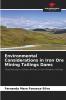 Environmental Considerations in Iron Ore Mining Tailings Dams