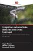 Irrigation automatisée dans les sols avec hydrogel