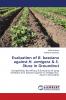 Evaluation of B. bassiana against H. armigera & S. litura in Groundnut