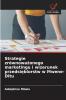 Strategie zrównoważonego marketingu i wizerunek przedsiębiorstw w Mwene-Ditu