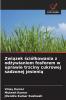 Związek ściółkowania z odżywianiem fosforem w uprawie trzciny cukrowej sadzonej jesienią