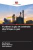 Turbine à gaz et centrale électrique à gaz
