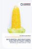 BIOCHEMICAL AND PROTEOMIC ANALYSIS OF MAIZE HYBRIDS