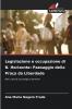Legislazione e occupazione di B. Horizonte