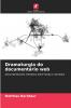 Dramaturgia do documentário web