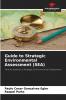 Guide to Strategic Environmental Assessment (SEA)