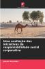 Uma avaliação das iniciativas de responsabilidade social corporativa
