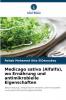 Medicago sativa (Alfalfa) wo Ernährung und antimikrobielle Eigenschaften