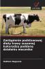 Zastąpienie podstawowej diety trawy suszonej kukurydzą poddaną działaniu mocznika