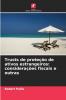 Trusts de proteção de ativos estrangeiros