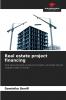 Real estate project financing