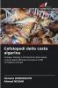 Cefalopodi della costa algerina