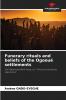Funerary rituals and beliefs of the Ogooué settlements