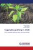 Vegetable grafting in Chilli