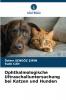 Ophthalmologische Ultraschalluntersuchung bei Katzen und Hunden