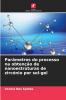 Parâmetros do processo na obtenção de nanoestruturas de zircónio por sol-gel