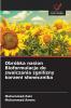 Obróbka nasion Bioformulacje do zwalczania zgnilizny korzeni słonecznika