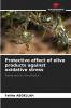 Protective effect of olive products against oxidative stress