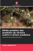 Efeito protetor dos produtos da oliveira contra o stress oxidativo