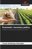 Economic recovery policy