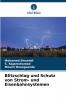 Blitzschlag und Schutz von Strom- und Eisenbahnsystemen